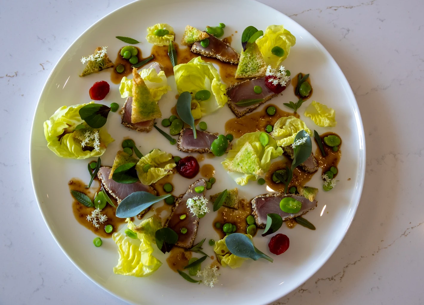 Yellowtail Kingfish tataki | gedroogde cherry tomaat | Hollandse soja dressing